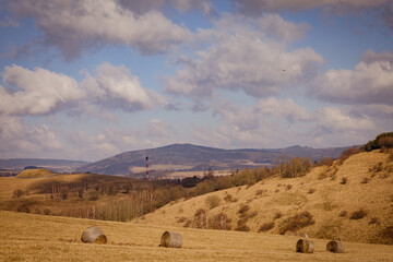 Fototapeta na wymiar Rural landscape with haystacks and blue cloudy sky. Bright yellow fields