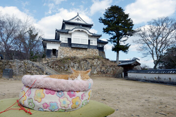 備中松山城　猫城主さんじゅーろー　岡山県高梁市