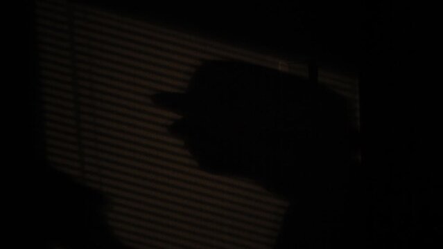 Silhouette of a gangster in old vintage hat armed with a pistol gun on the jalousie shadow wall. Crime or horror movies concept video.