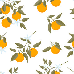 Seamless pattern of hand drawn Oranges branch. Floral print. Sketch Exotic tropical citrus fresh fruit, tangerine with leaves and flowers. Vector cartoon minimalistic style illustration. Cute Doodle 
