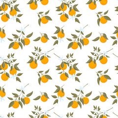 Seamless pattern of hand drawn Oranges branch. Floral print. Sketch Exotic tropical citrus fresh fruit, tangerine with leaves and flowers. Vector cartoon minimalistic style illustration. Cute Doodle 
