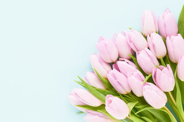 Bouquet of pink tulips on a light blue background. Mother's day, Valentines Day, Birthday concept