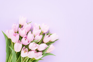 Fototapeta na wymiar Bunch of pink tulips on a lilac background.