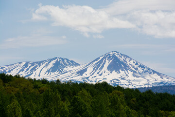 新緑の森と残雪の山頂　大雪山
