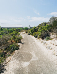 Portrait shot of pathway to building at Seal bay on Kangaroo Island, South Australia