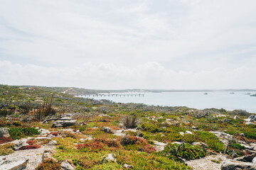Fototapeta na wymiar landscape shot of Vivonne Bay Jetty on kangaroo Island, South Australia