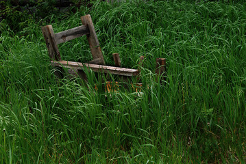 old dilapidated wooden chair in long green grass