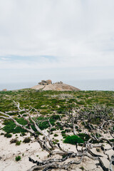 Portrait wide shot of Remarkable Rocks, Kangaroo Island, South Australia from afar