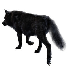 Dire wolf on isolated background, 3D illustration, 3D rendering