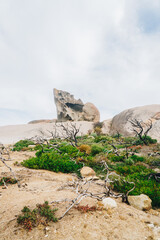 Portrait shot of Remarkable Rocks on Kangaroo Island, South australia