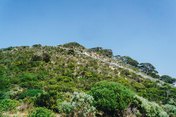 Fototapeta na wymiar Wide shot of Mt Thisby stair case to the top on Kangaroo Island, South Australia