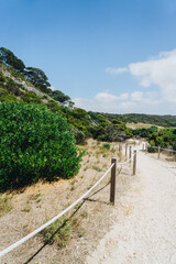 Fototapeta na wymiar Dirt path at Mt Thisby on Kangaroo Island, South Australia. 