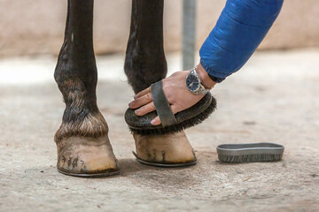 A person cleans a horses hoof after riding