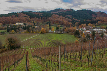 view of vineyards, ruins in Staufen Germany