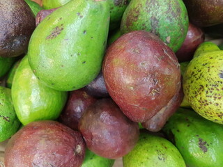 large group of avocado fruit closeup