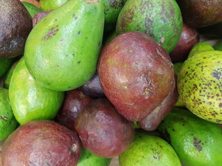 large group of avocado fruit closeup