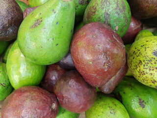 large group of avocado fruit closeup