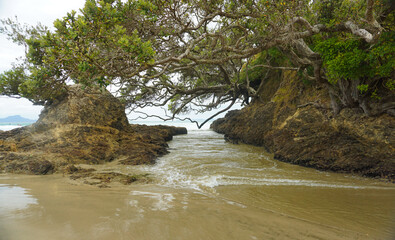 Beautiful day around Bream's Bay near Whangarei in New Zealand.