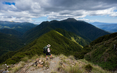 New Zealand Mountains