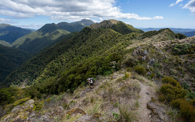 Hiking in New Zealand on the Tararua Range