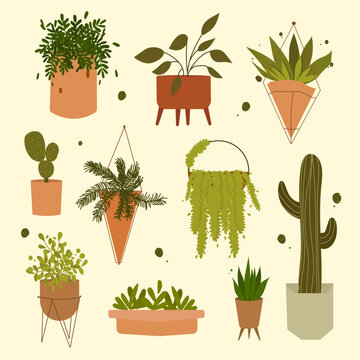 Plantas, cactus, macetas, hojas, ilustraci&oacute;n de macetas, floreros, plantas de decoraci&oacute;n