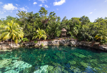 Mexico tourism destination, Cenote Casa Tortuga near Tulum and Playa Del Carmen. - obrazy, fototapety, plakaty