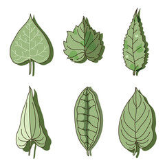 Set of six different green tree leaves isolated on white background flat vector illustration
