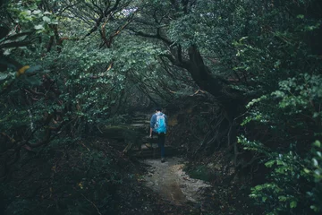 Fotobehang Yaskuhima forest in Kyusyu Japan(World Heritage in Japan)  © osero.