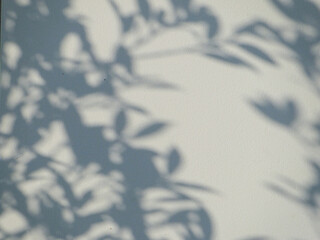 The shadow of the sun shining through the wood