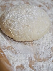 밀가루, 도우, 음식, 빵 발효