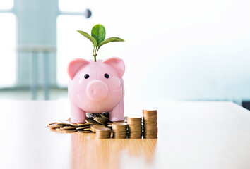 Piggy bank with young green plant and coins