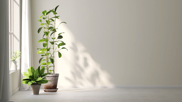 Variety of tropical green plants in pots with morning sun light from window, casting shadow on clean white wall and floor. 3D render for home renovation, house plants, nature indoor garden background.