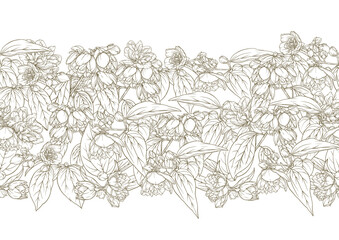 Fototapeta premium Jasmine Seamless pattern, background. Vector illustration. In botanical style on white background.