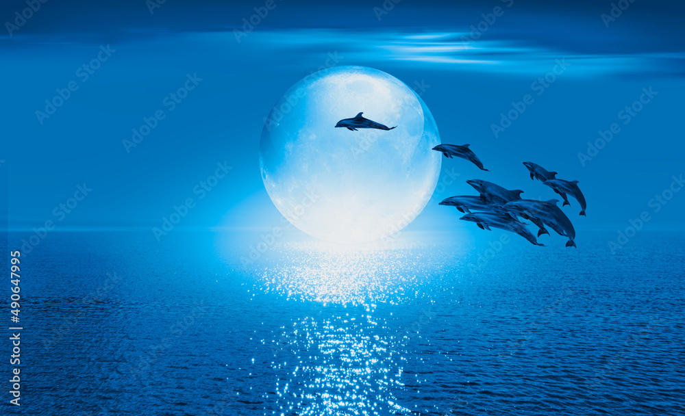 Poster silhoutte of beautiful dolphin jumping up from the sea with crystall full moon 