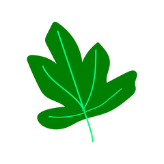 fig leaf. hand drawn. vector, minimalism. icon, sticker.