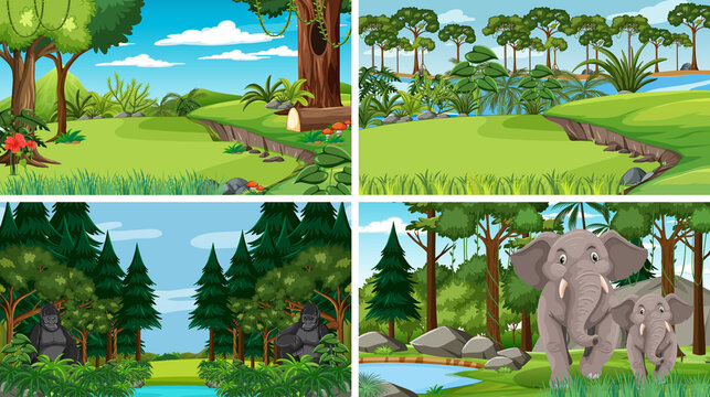 Four scenes with trees in the forest