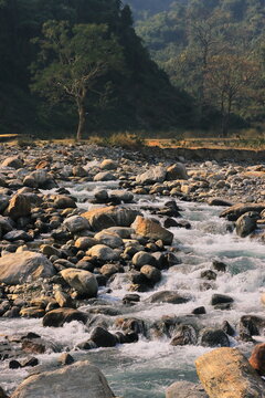 himalayan foothills and scenic landscape of terai region, india
