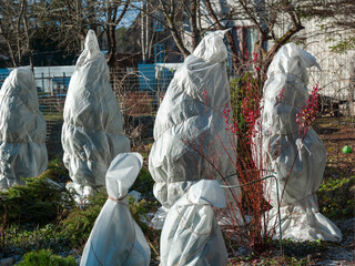 plants wrapped with warming jackets © vectorass