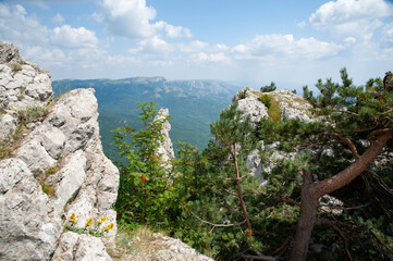 view from the top of the mountain
