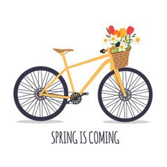 Bicycle with a bouquet of spring flowers. Illustration.