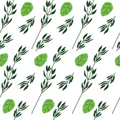 Seamless pattern background - greeneries. Vector illustration of mint, celery and rosemary