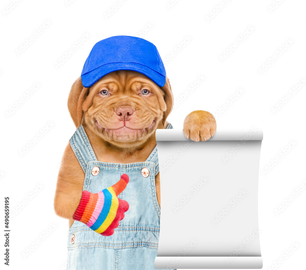 Poster puppy wearing blue cap and overalls shows empty list and thumbs up gesture. isolated on white backgr