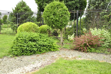 Landscaping of a garden plot. Flowers and plants in the garden.
