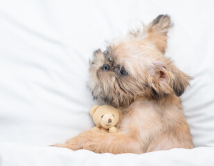Cute Brussels Griffon puppy sleeps on a bed at home and hugs favorite toy bear. Top down view. Empty space for text