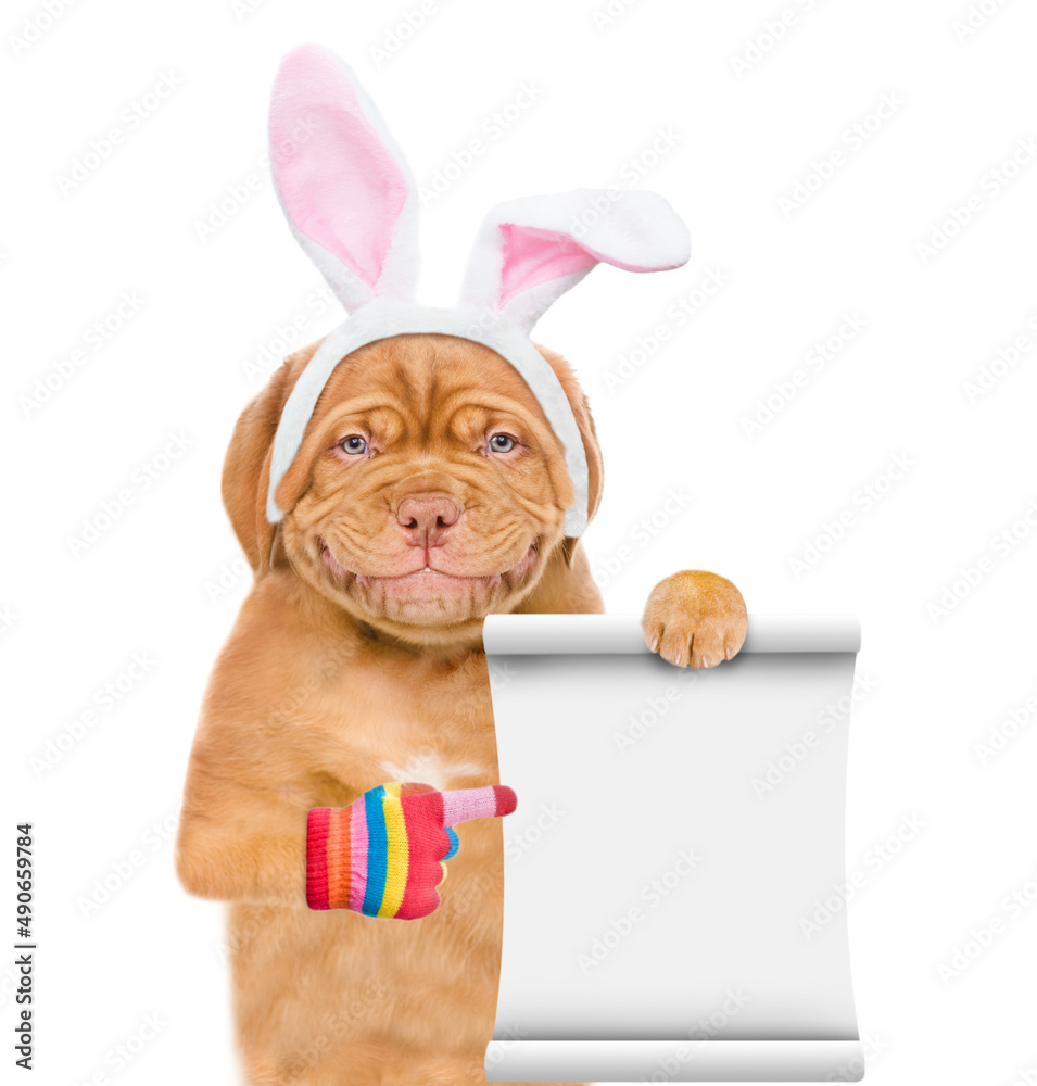 Poster Smiling puppy wearing easter rabbits ears points on empty list. Isolated on white background