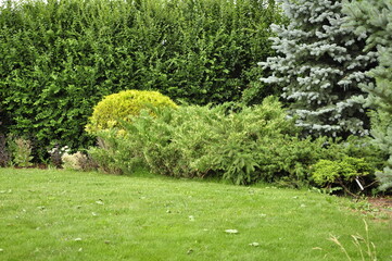 Landscaping of a garden plot. Flowers and plants in the garden.