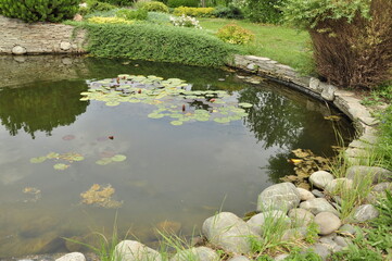 Garden pond. Pond in landscape design.