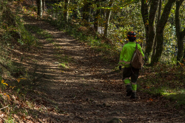 forest woman walking in the woods