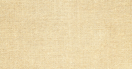 Obraz na płótnie Canvas Natural leather structure material abstract texture background