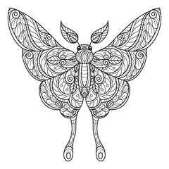 Butterfly beautiful hand drawn for adult coloring book